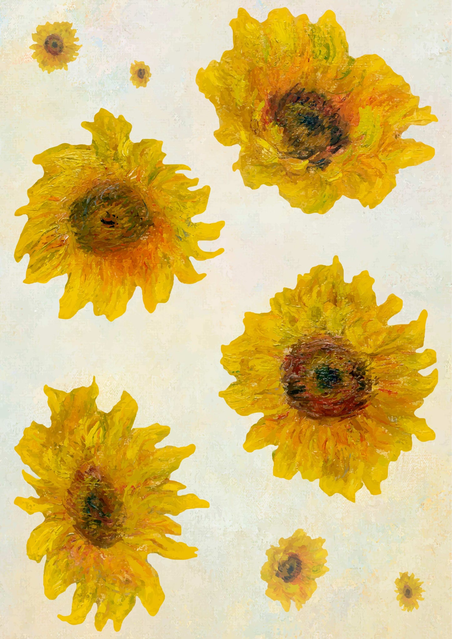 Blooming Beauties