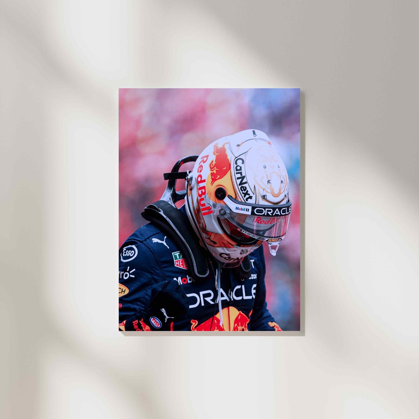 Max Verstappen: Speed and Determination