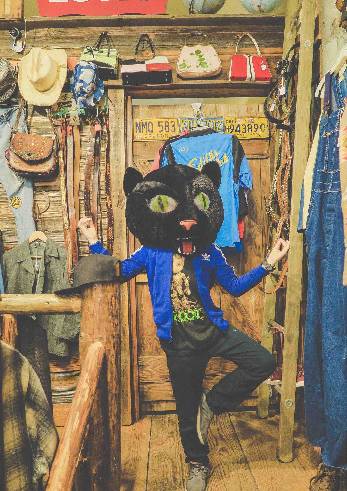 Cat Head
