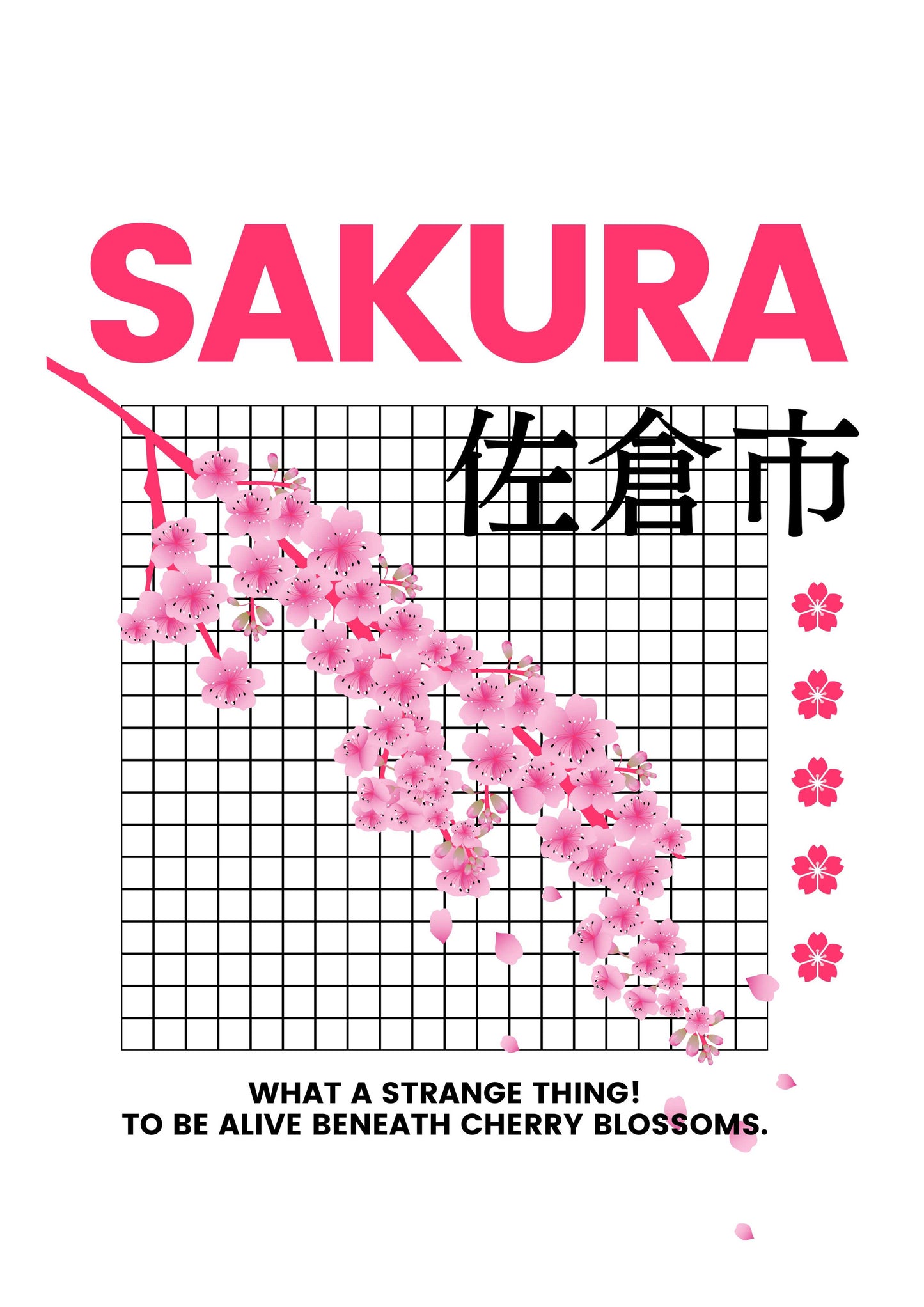 Sakura - Cherry Blossom
