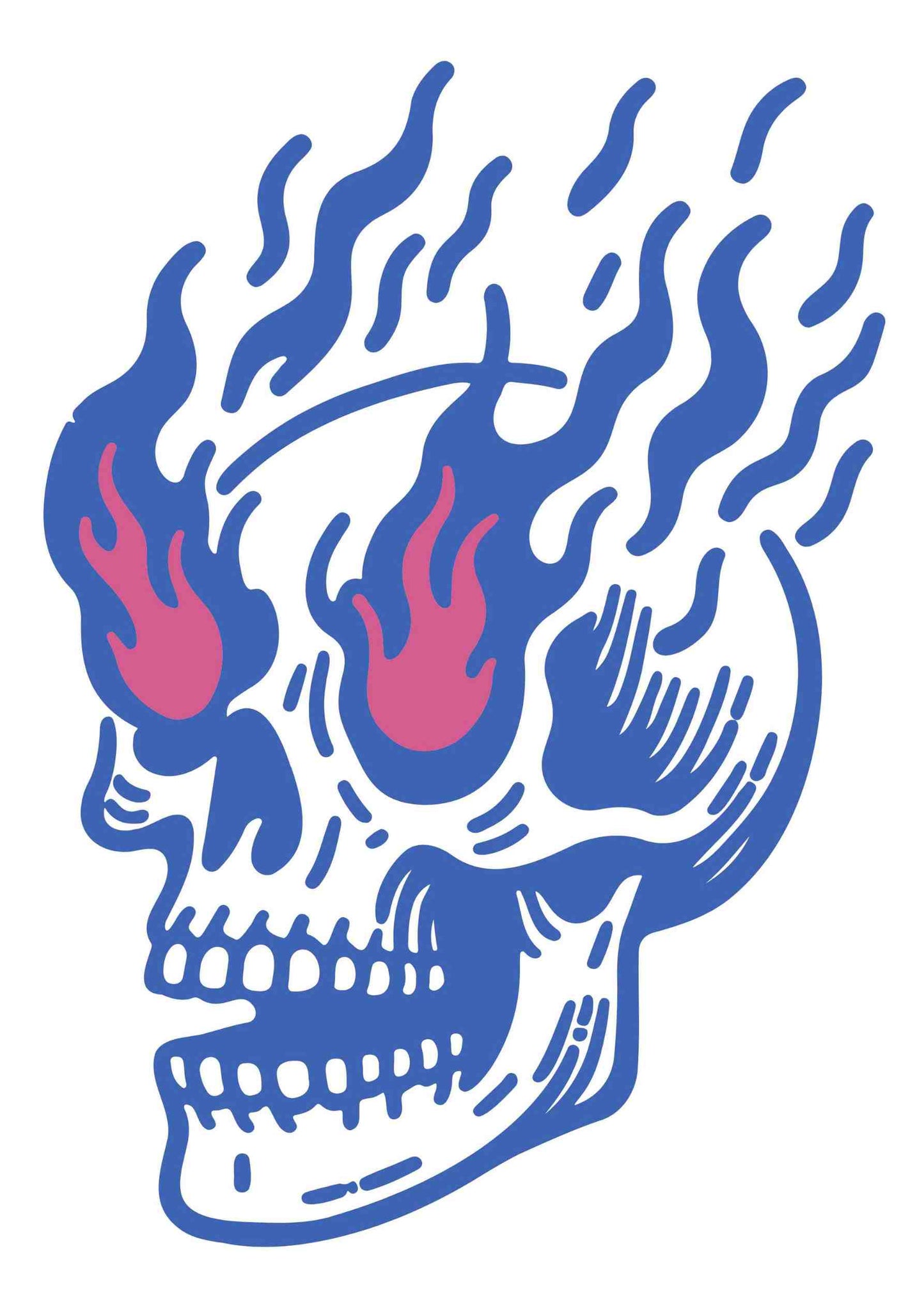 Flaming Skull - Blue/Pink