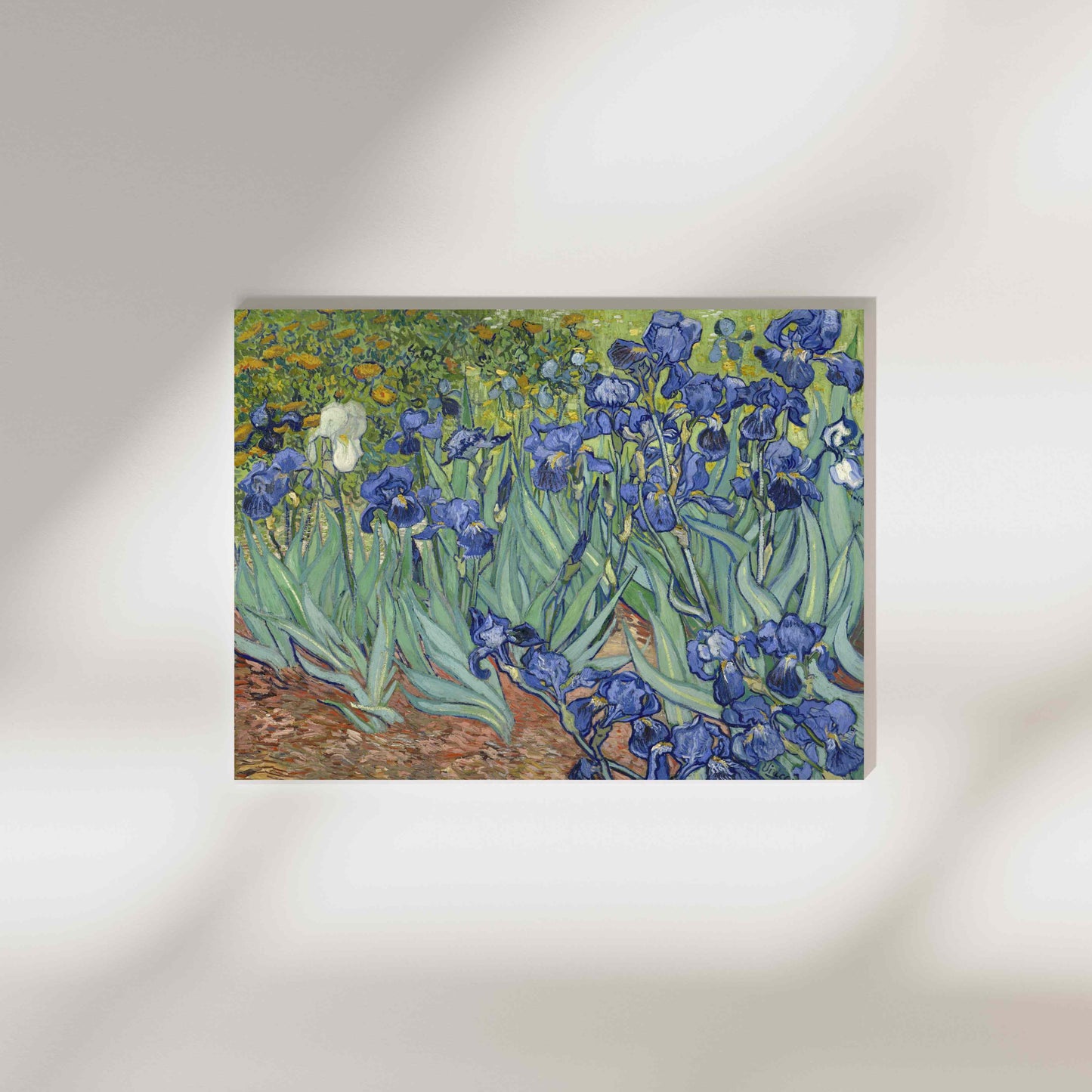 Irises - Vincent van Gogh 1889