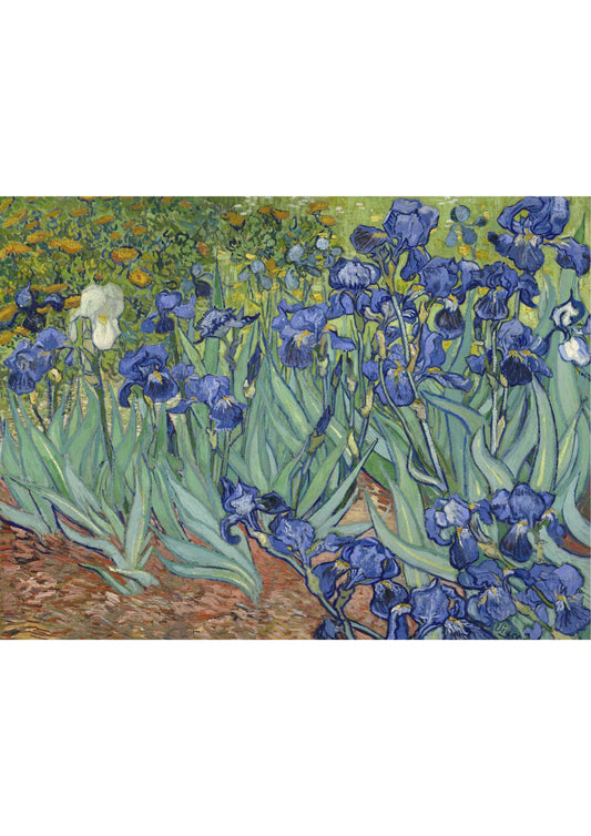 Irises - Vincent van Gogh 1889