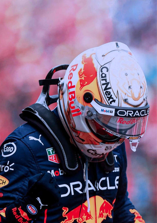 Max Verstappen: Speed and Determination