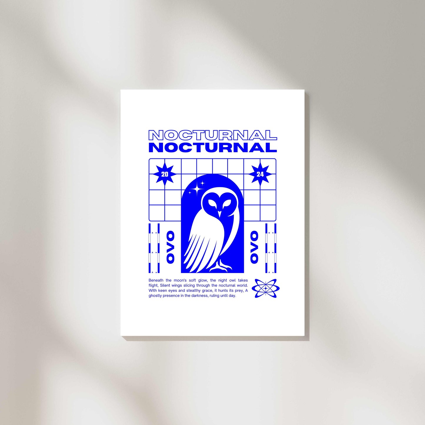 Nocturnal Owl