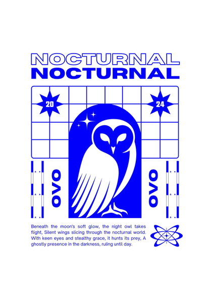 Nocturnal Owl